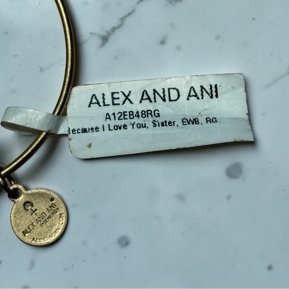 Alex and Ani “Because I Love‎ You Sister” Rafaelian Gold Expandable Charm Bangle
